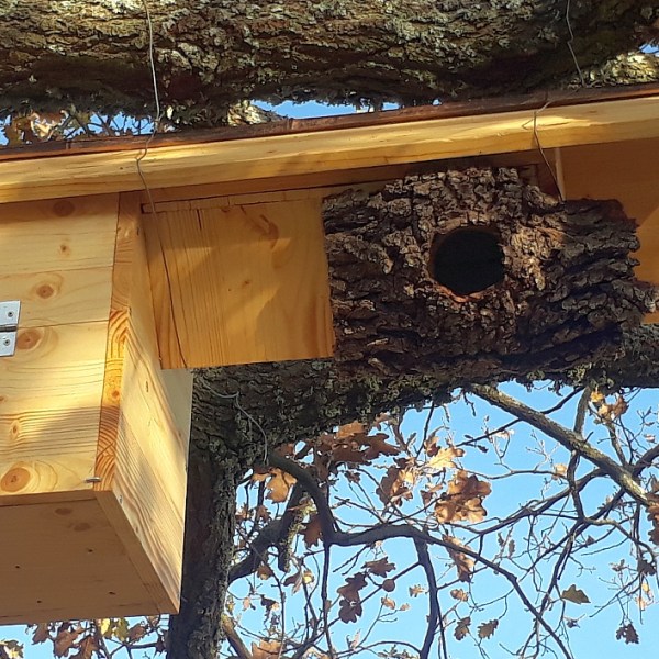 Les systèmes anti-prédation