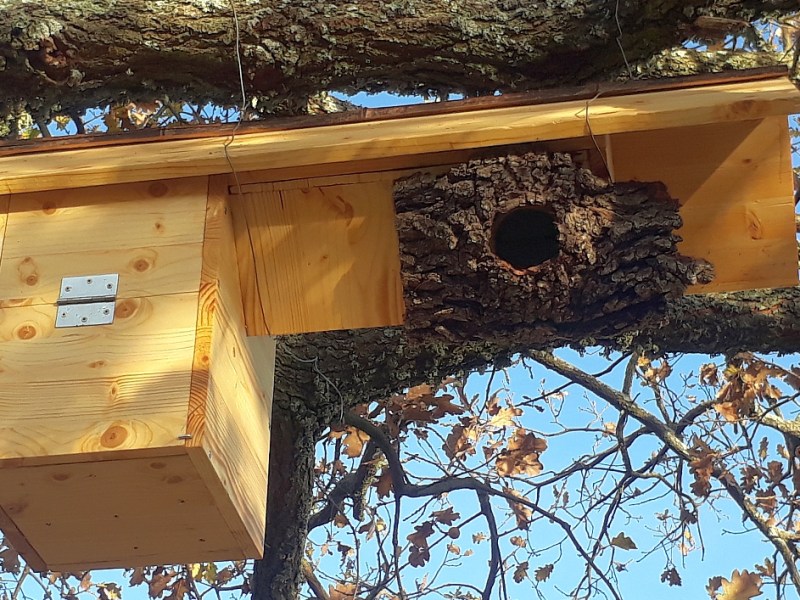 Les systèmes anti-prédation