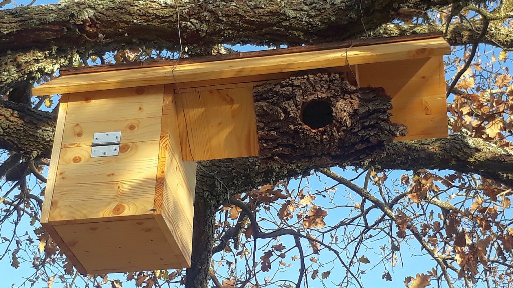 Les systèmes anti-prédation