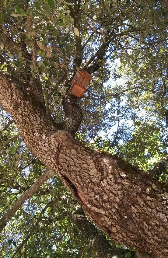 Cette image a un attribut alt vide ; le nom du fichier est boite-lettre.jpg
