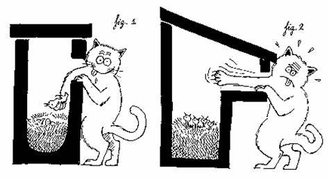 Cette image a un attribut alt vide ; le nom du fichier est chat-nichoir.jpg