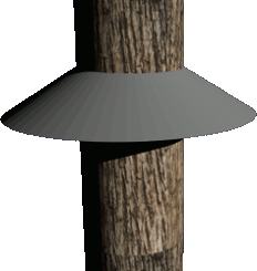 Cette image a un attribut alt vide ; le nom du fichier est cone.png