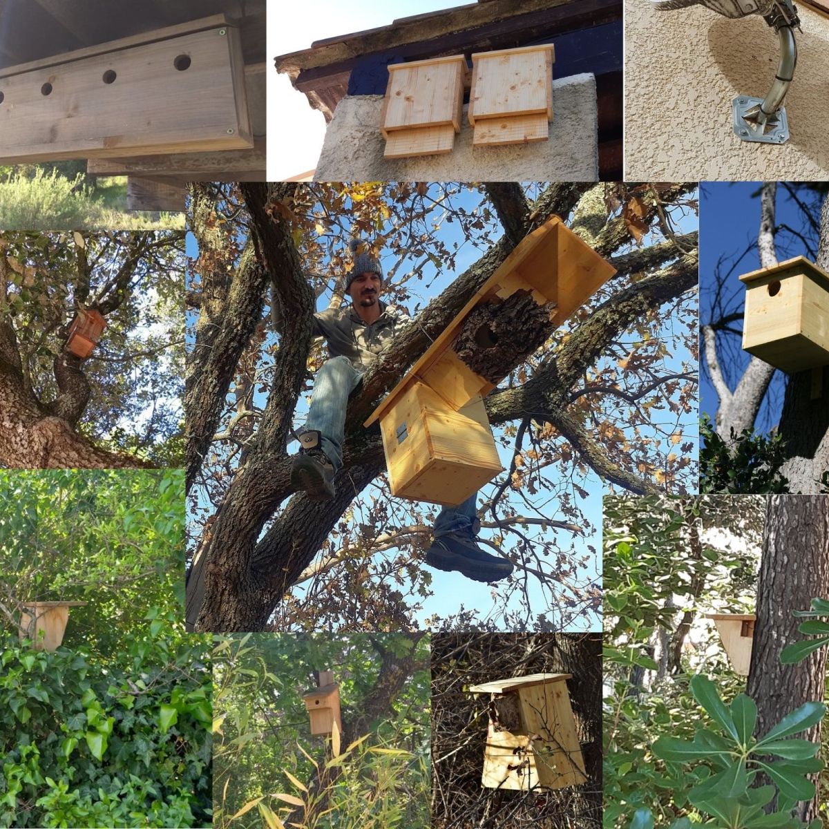 Où et comment l&rsquo;installer ?