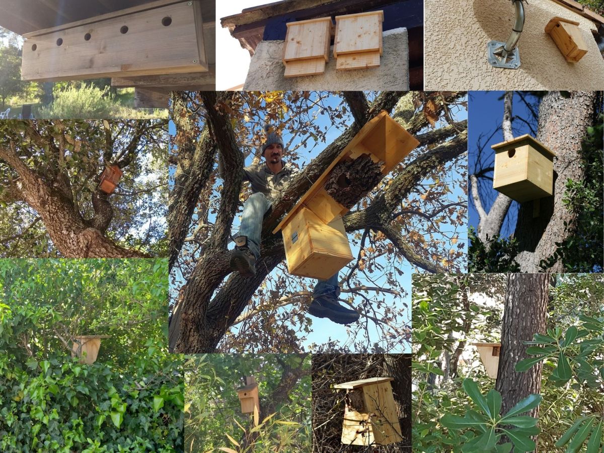 Où et comment l&rsquo;installer ?