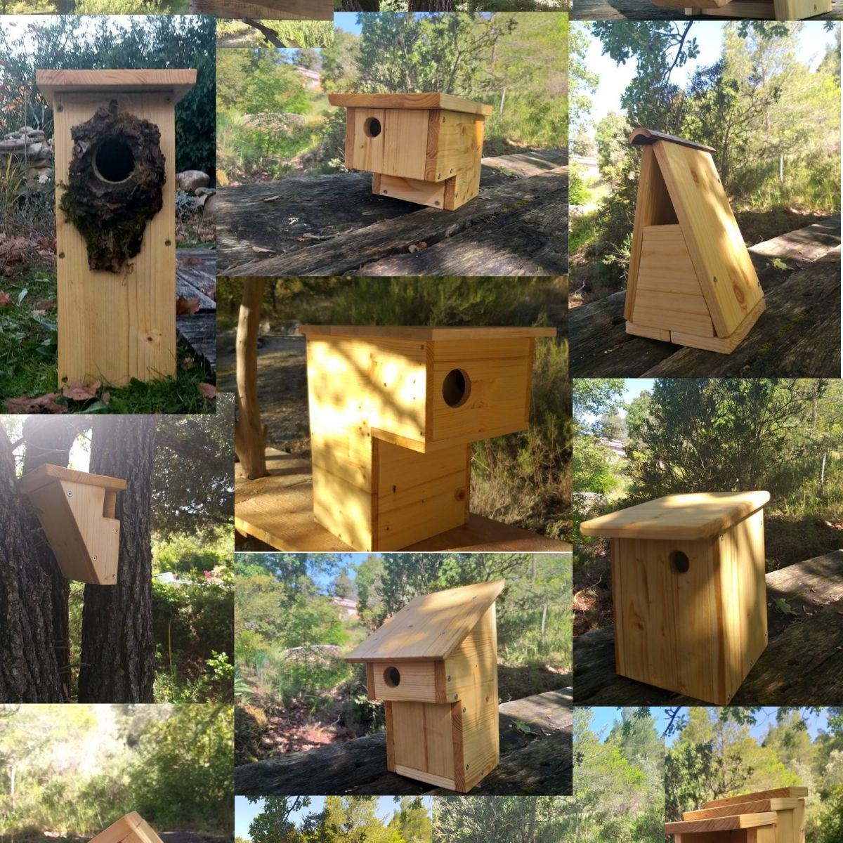 Pourquoi installer un nichoir&nbsp;?