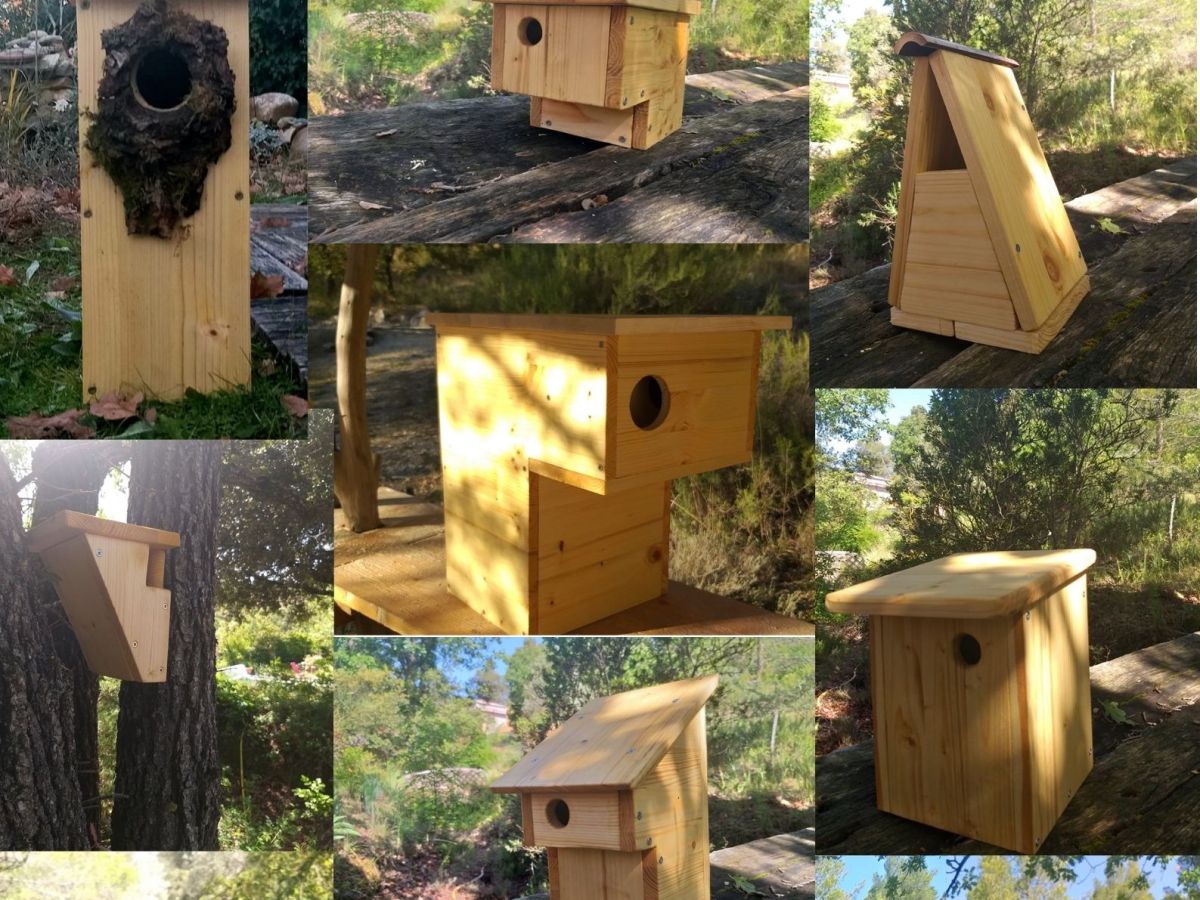 Pourquoi installer un nichoir&nbsp;?