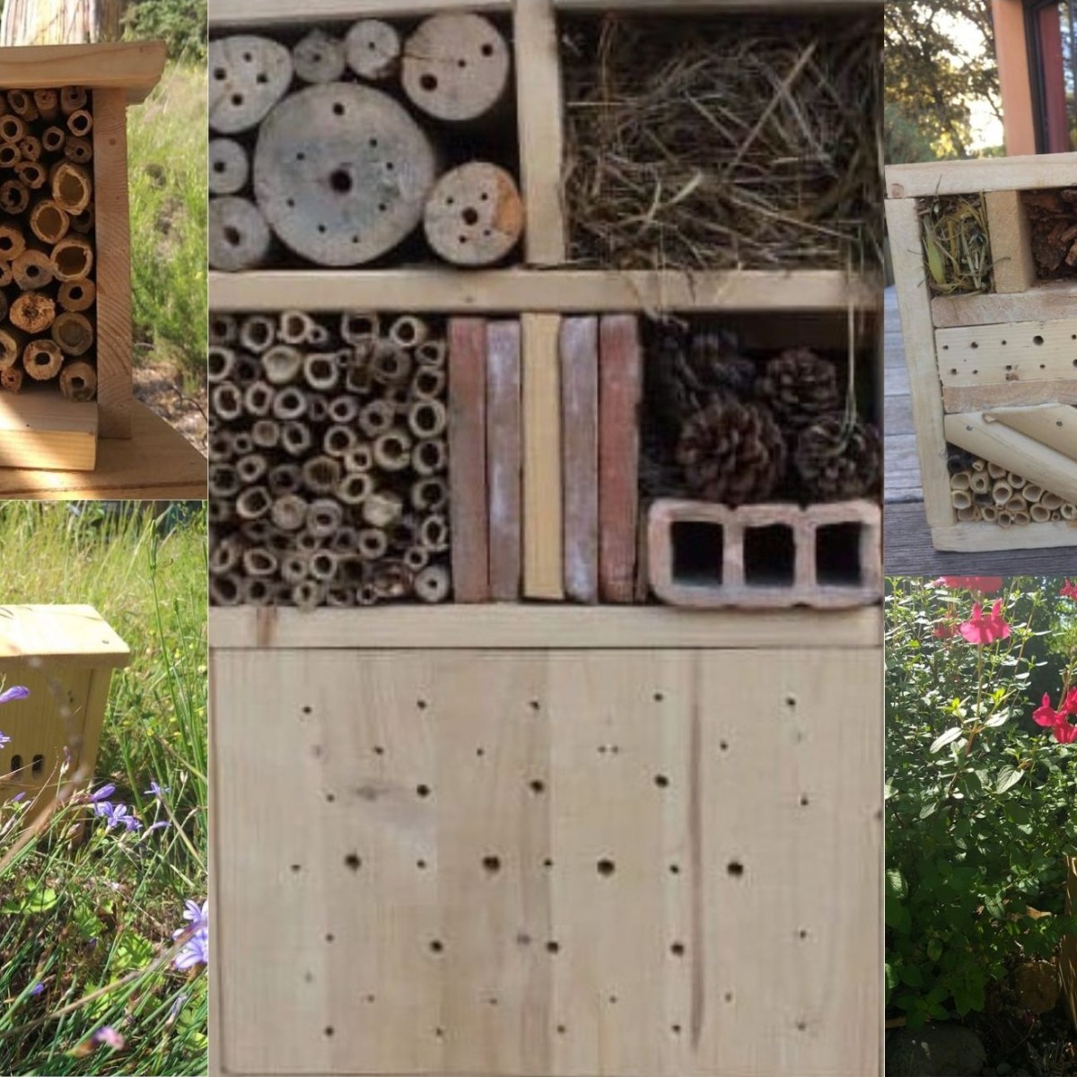 Les hôtels à&nbsp;insectes