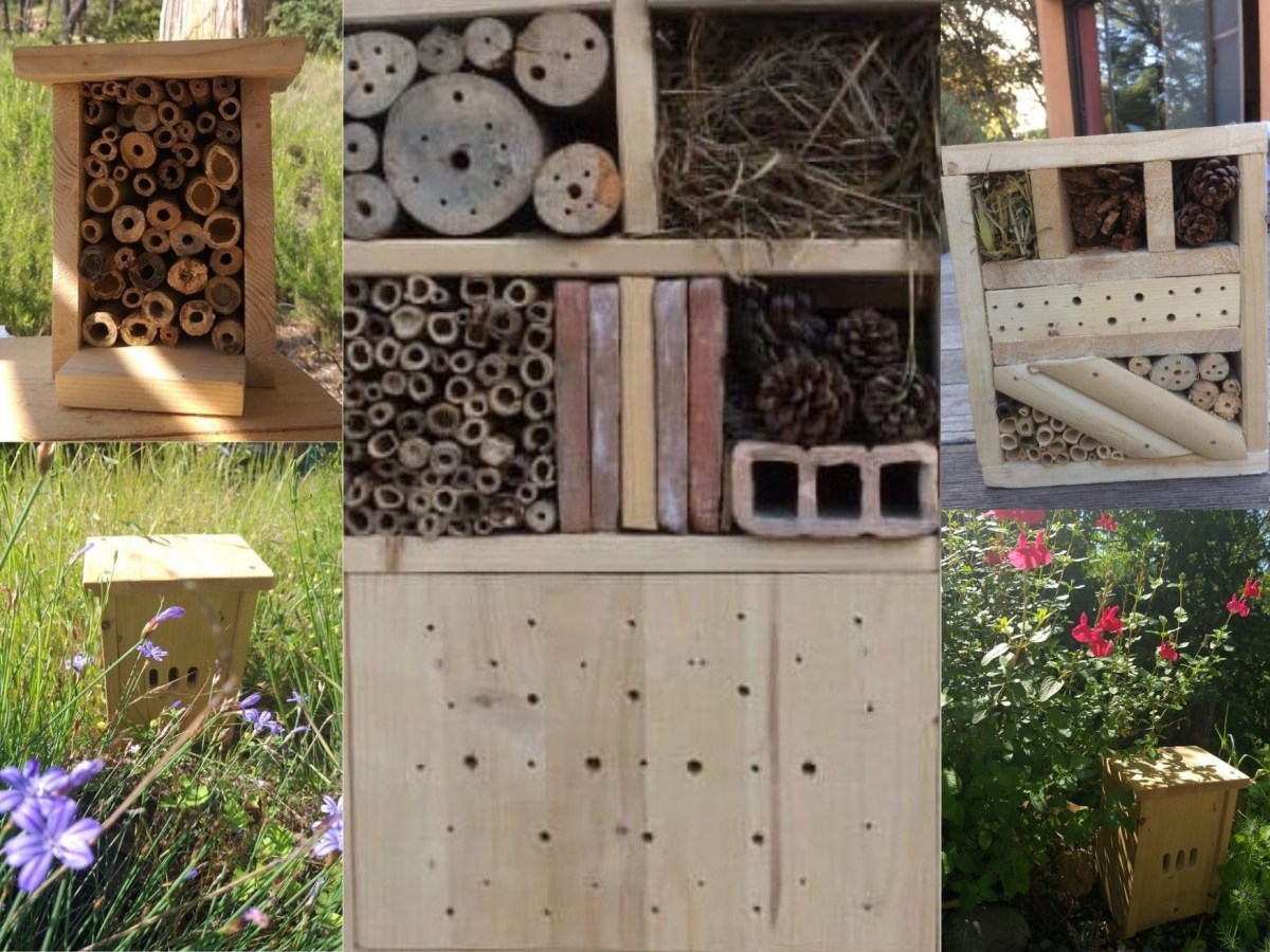 Les hôtels à&nbsp;insectes