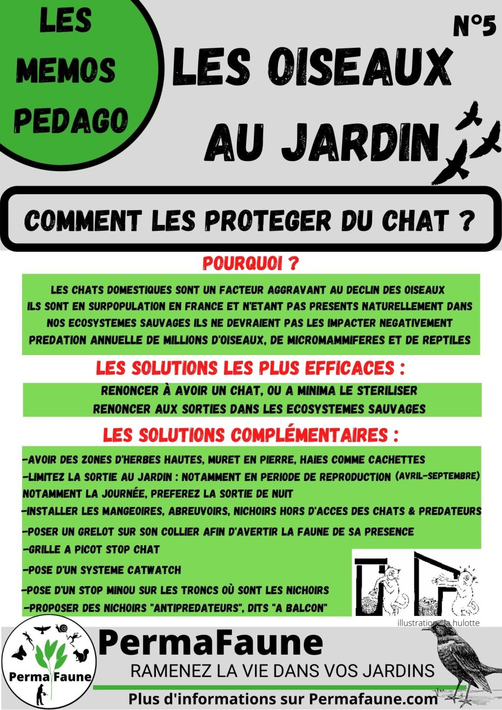 Comment limiter la prédation des chats&nbsp;?