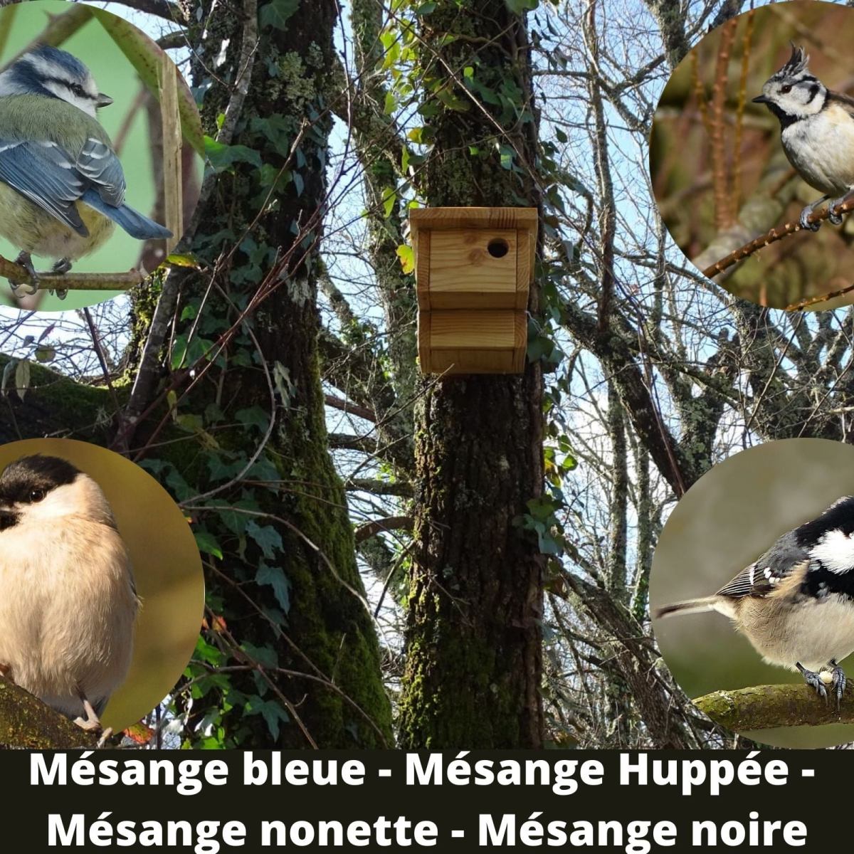 Aménagement d&rsquo;un nouveau jardin en&nbsp;Dordogne