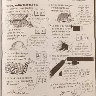 Votre jardin est-il accueillant pour le hérisson&nbsp;?