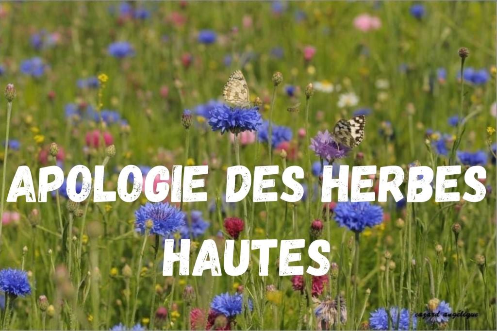 Apologie des herbes&nbsp;hautes