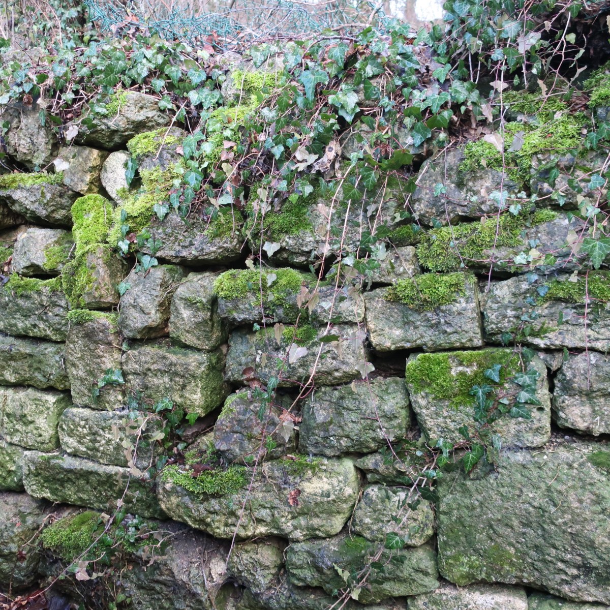 Pourquoi cette année je vais installer un tas de pierre au jardin&nbsp;?