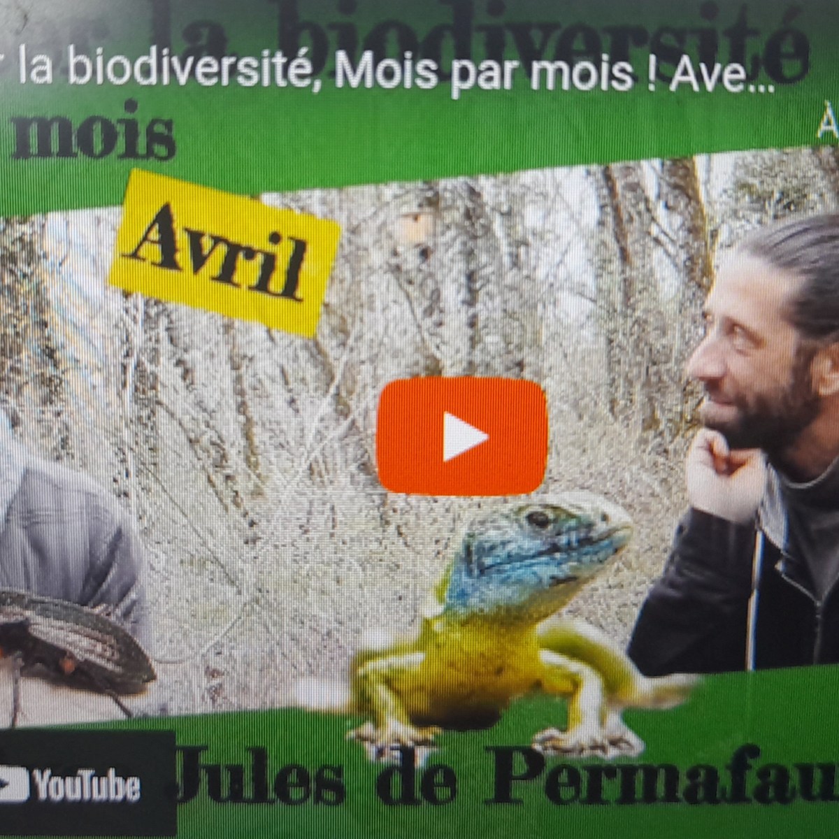 Favoriser la biodiversité mois par mois –&nbsp;AVRIL