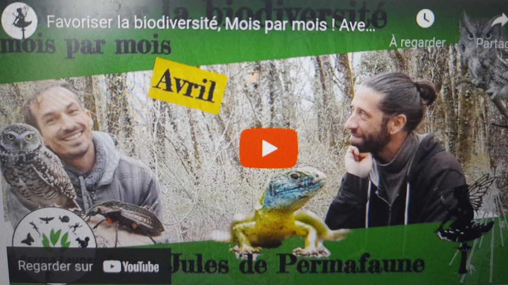 Favoriser la biodiversité mois par mois –&nbsp;AVRIL