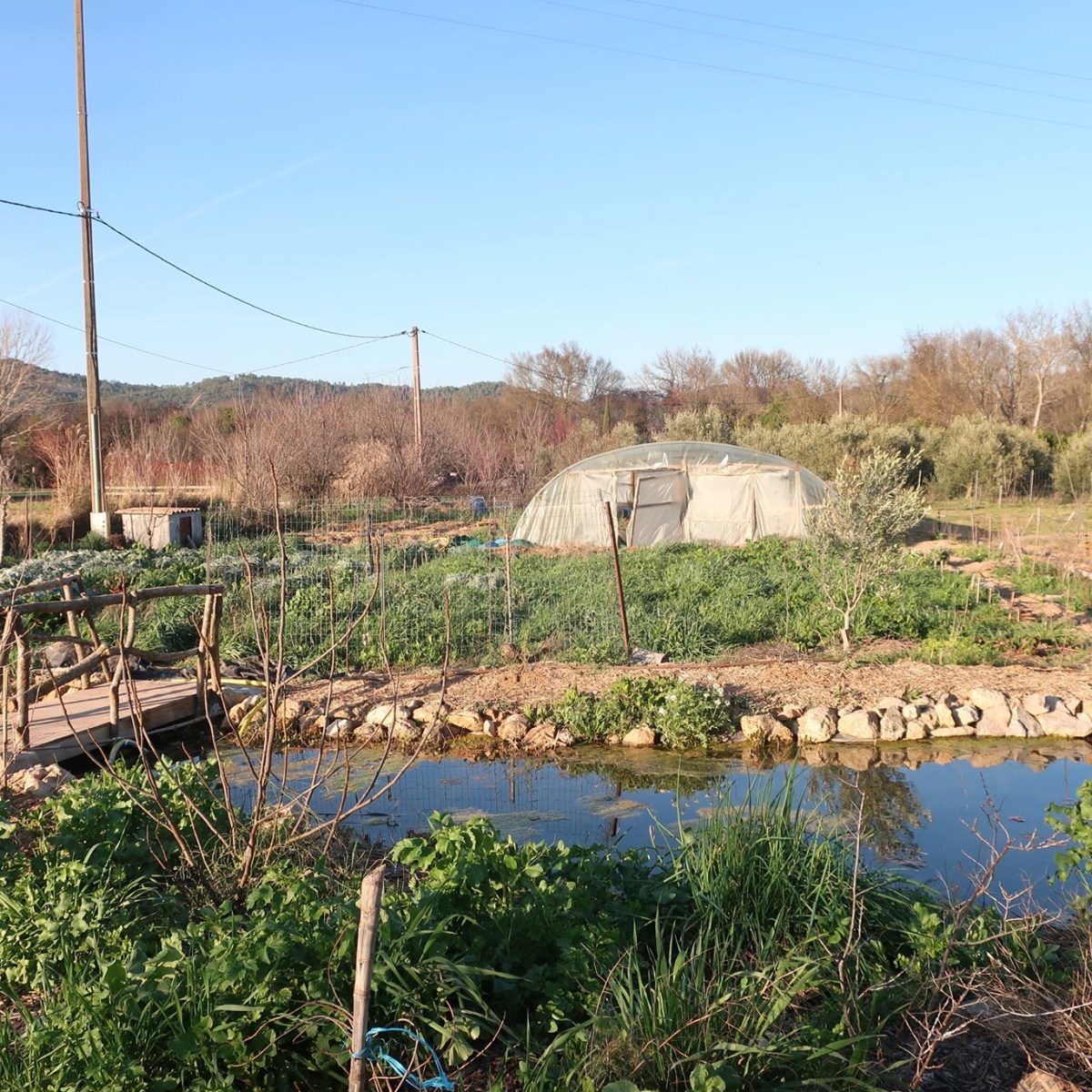 Comment produire des fruits et légumes en abondance tout en accueillant et protégeant efficacement la faune du&nbsp;jardin