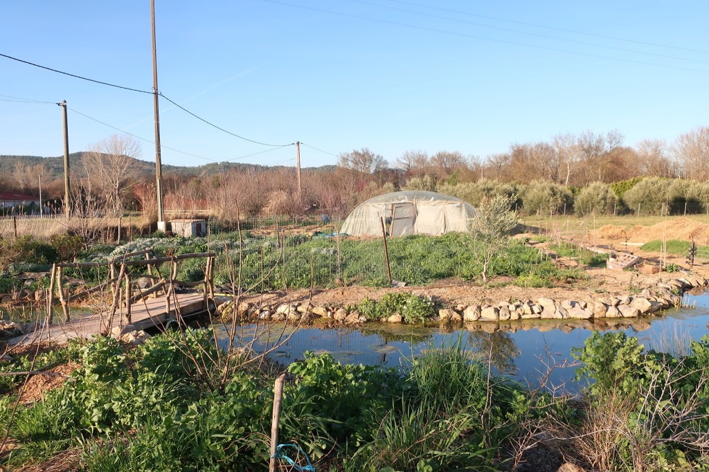 Comment produire des fruits et légumes en abondance tout en accueillant et protégeant efficacement la faune du jardin