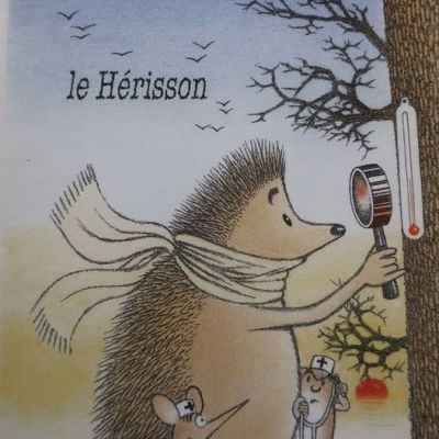 Que mange le Hérisson ? Quand, où et comment&nbsp;?