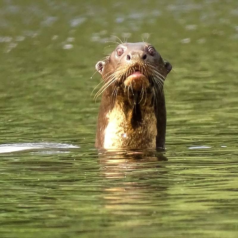Retour sur 60h sur le lac Petit Saut avec Audrey de Aud&rsquo; à la Guyane – Partie&nbsp;1