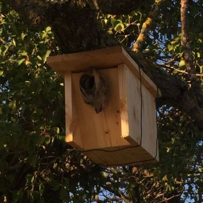 Transformation d&rsquo;un lieu en refuge pour la vie sauvage dans le Haut&nbsp;Var