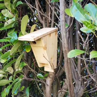 Création et installation d&rsquo;un nichoir à mésange dans le Morbihan&nbsp;(56)