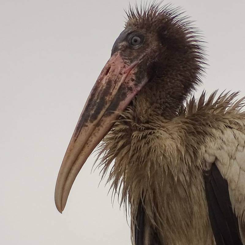 Un beau matin…dans le jardin&nbsp;!