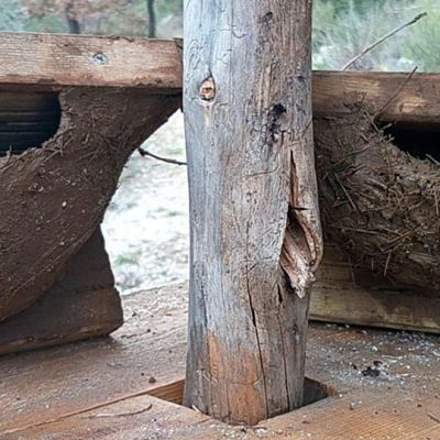 Quand l&rsquo;eco-construction rencontre l&rsquo;ornithologie